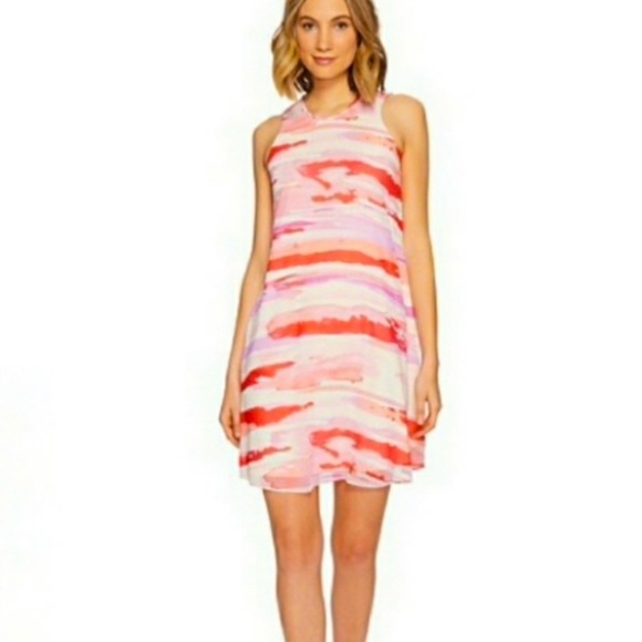 Calvin Klein Sheer WATERCOLOR Stripe Shift Dress - Picture 2 of 7